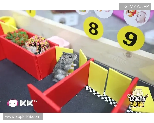 凯发FC电子游戏拥有丰富的游戏资源，涵盖老虎机、真人娱乐、体育博彩等多种类型