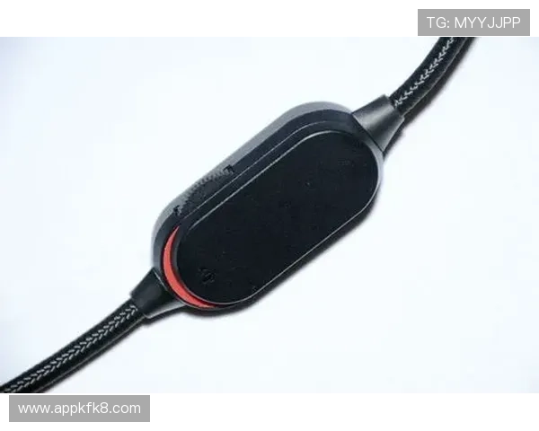 亚游K8首页最新入口，全面提供安全稳定的游戏体验与丰富的娱乐资源