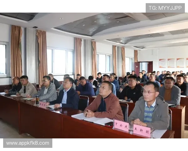 凯发开户技巧分享：专家总结的开户流程优化与风险控制方法